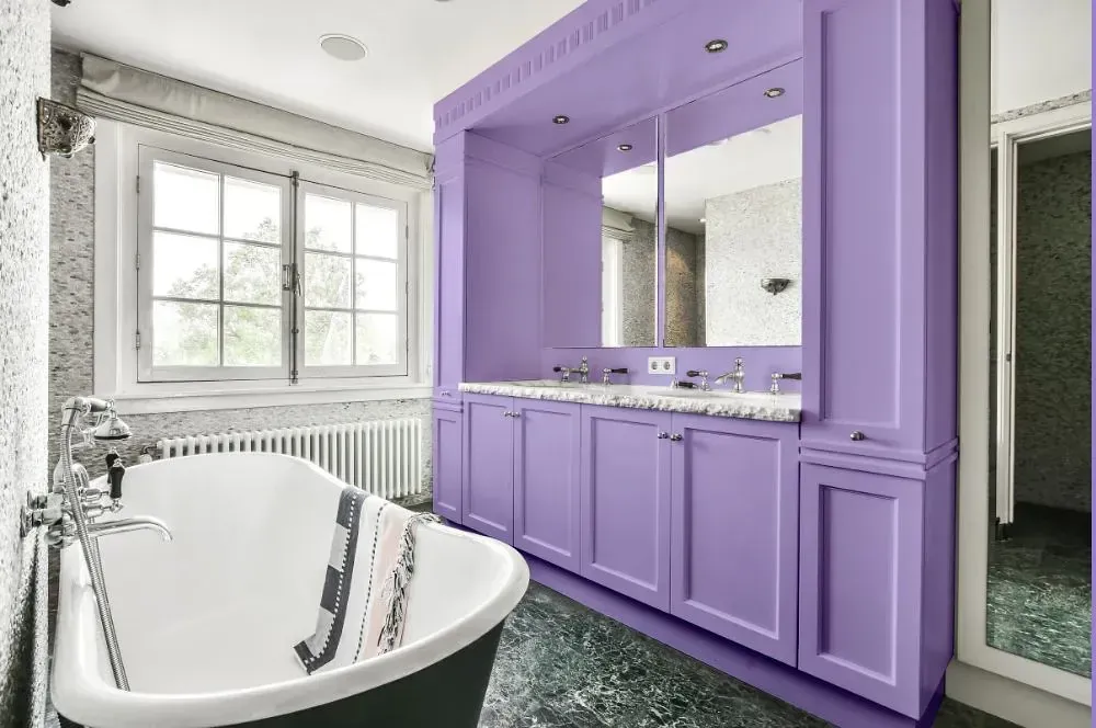 NCS S 1040-R60B victorian bathroom paint