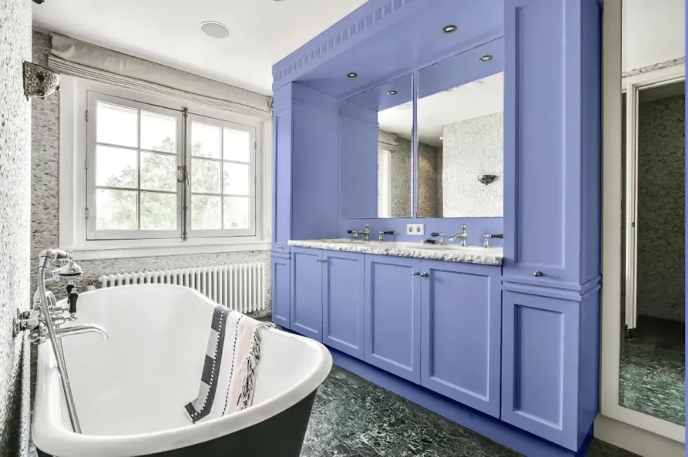 NCS S 1040-R70B victorian bathroom paint