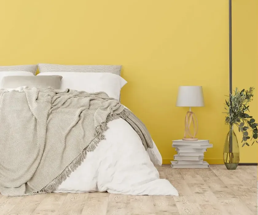 NCS S 1040-Y cozy bedroom wall color