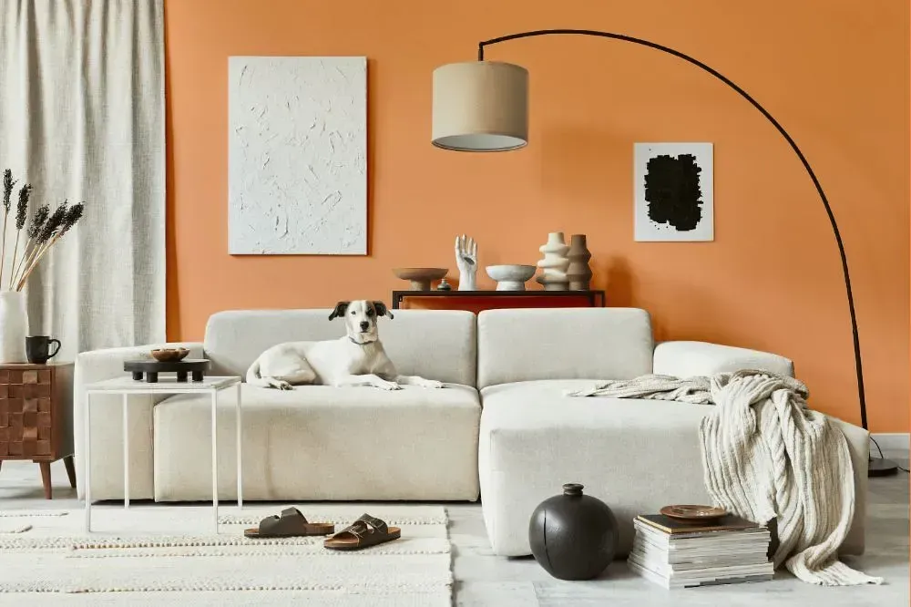 NCS S 1040-Y50R cozy living room