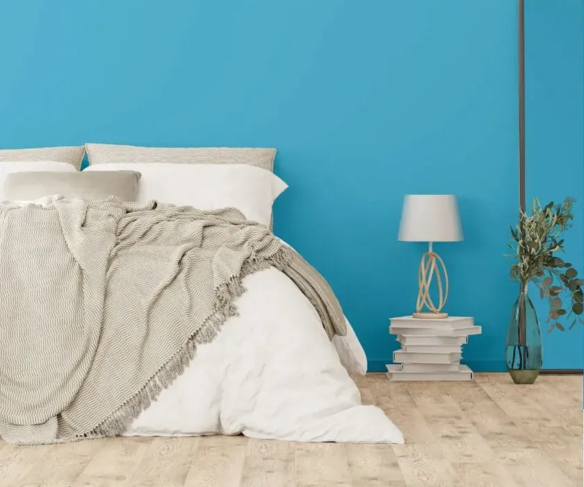 NCS S 1050-B cozy bedroom wall color