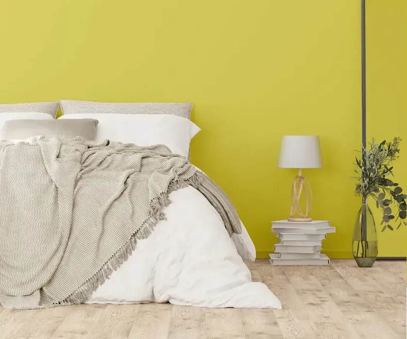 NCS S 1050-G80Y cozy bedroom wall color