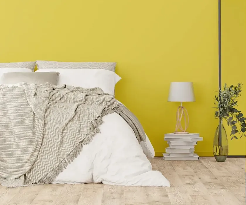 NCS S 1050-G90Y cozy bedroom wall color