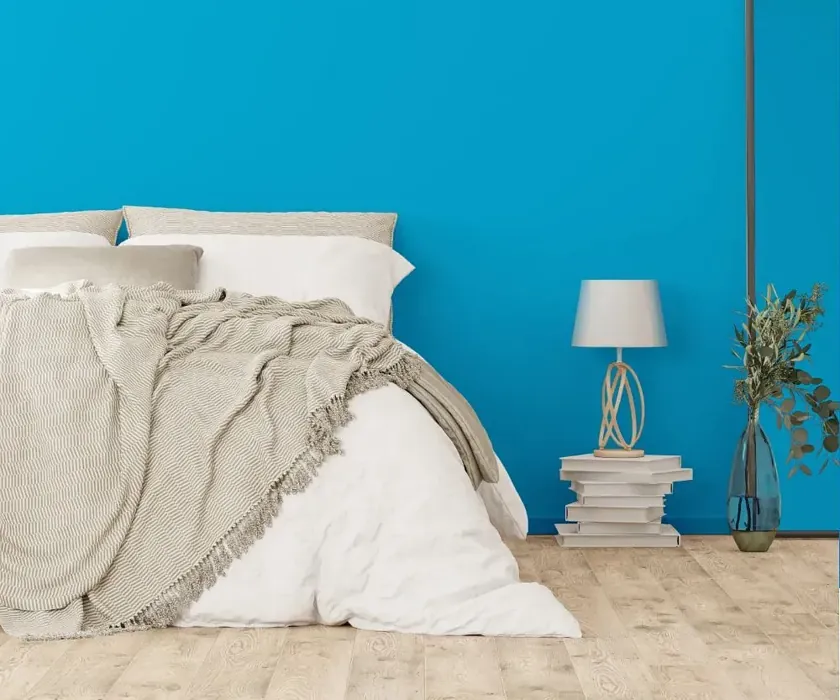 NCS S 1060-B cozy bedroom wall color