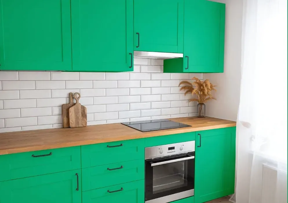 NCS S 1060-G kitchen cabinets