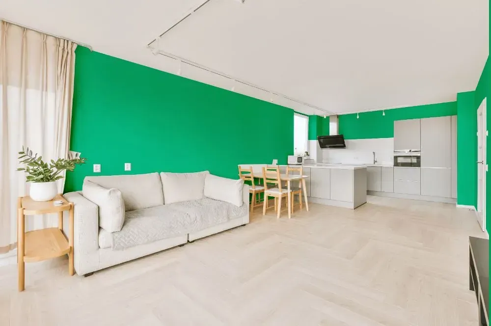 NCS S 1060-G living room interior