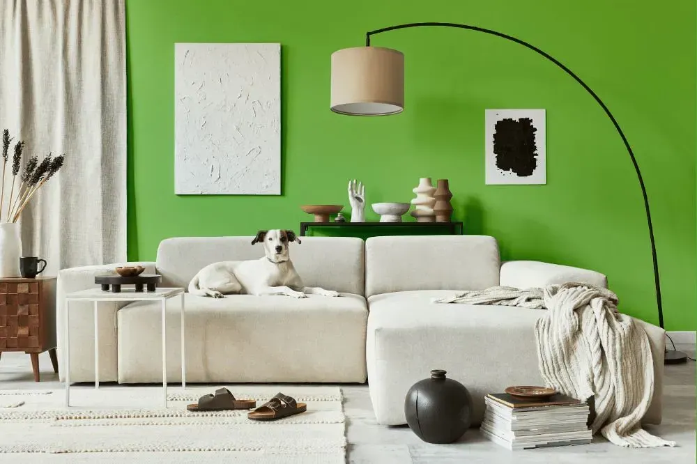 NCS S 1060-G30Y cozy living room