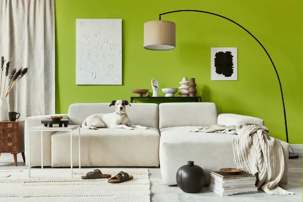 NCS S 1060-G50Y cozy living room