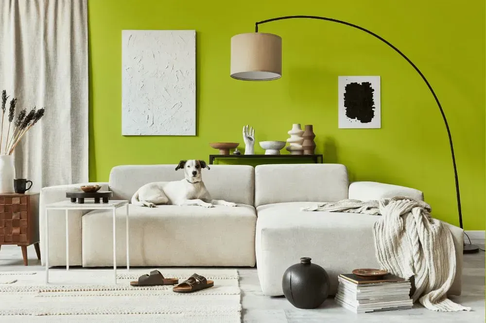 NCS S 1060-G60Y cozy living room