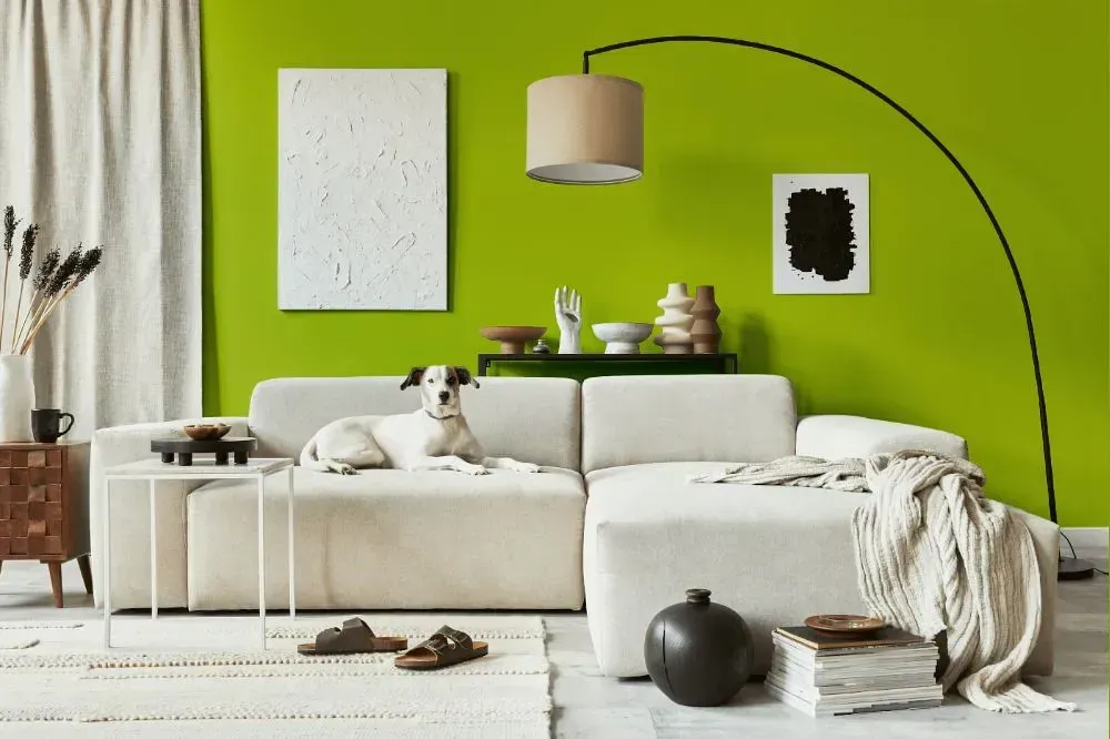 NCS S 1070-G50Y cozy living room