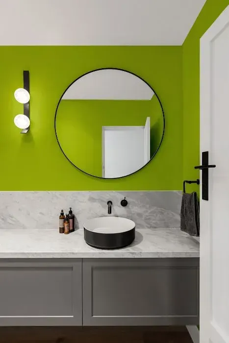 NCS S 1070-G50Y minimalist bathroom