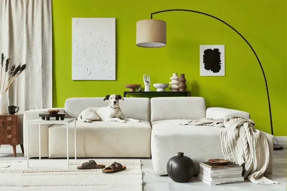 NCS S 1070-G60Y cozy living room