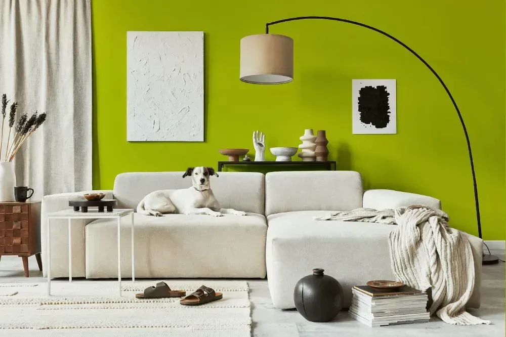 NCS S 1075-G60Y cozy living room