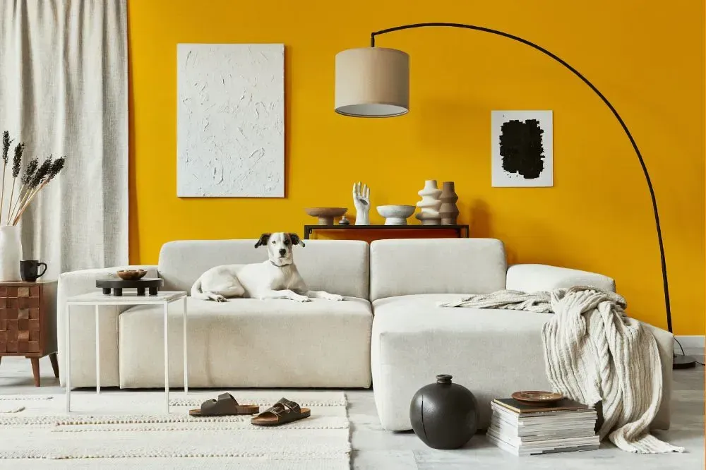 NCS S 1080-Y10R cozy living room