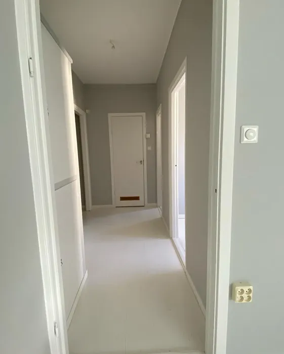 NCS S 1500-N hallway color