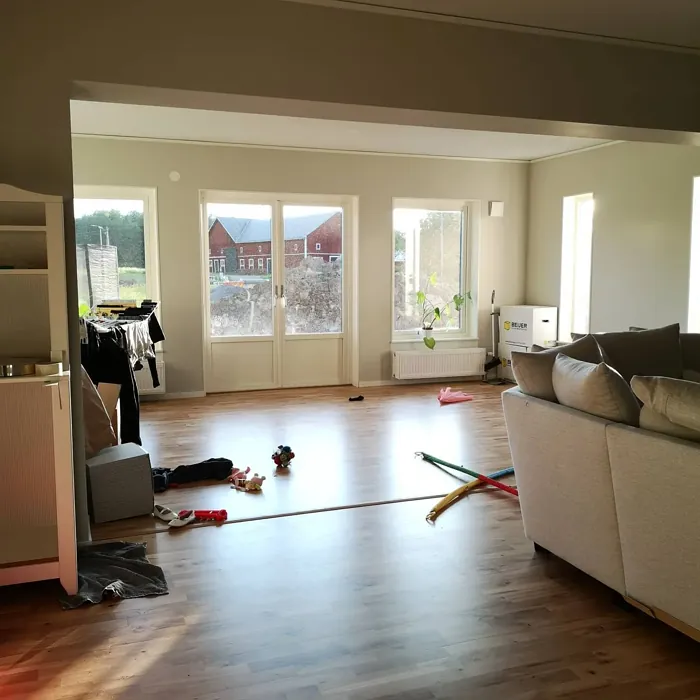 NCS S 1502-Y wall paint review