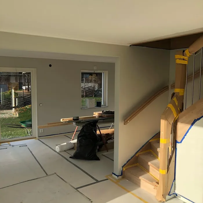 S 1502-Y hallway color