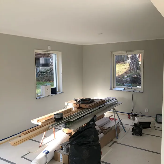 NCS S 1502-Y wall paint color review