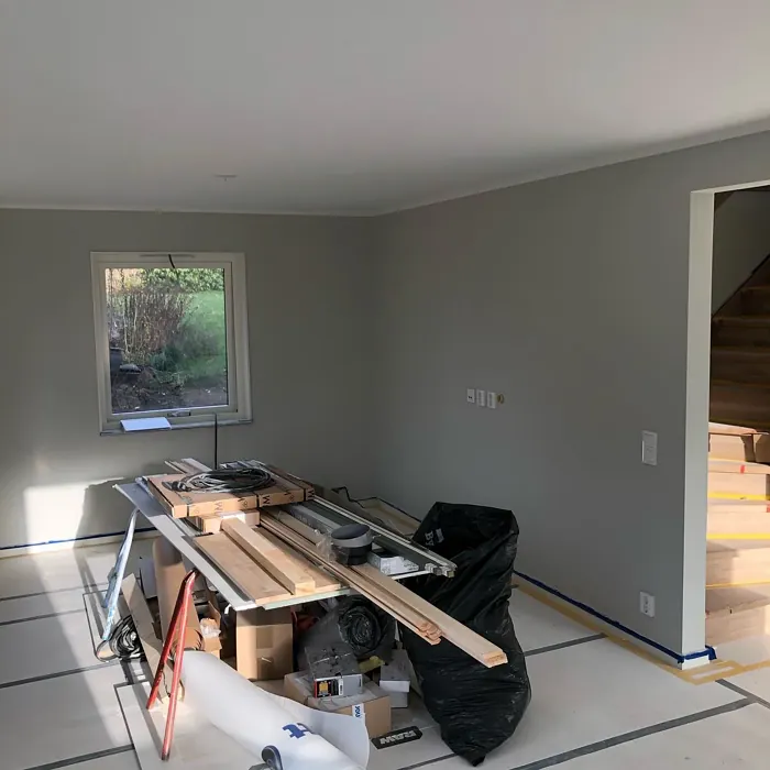 NCS S 1502-Y wall paint makeover