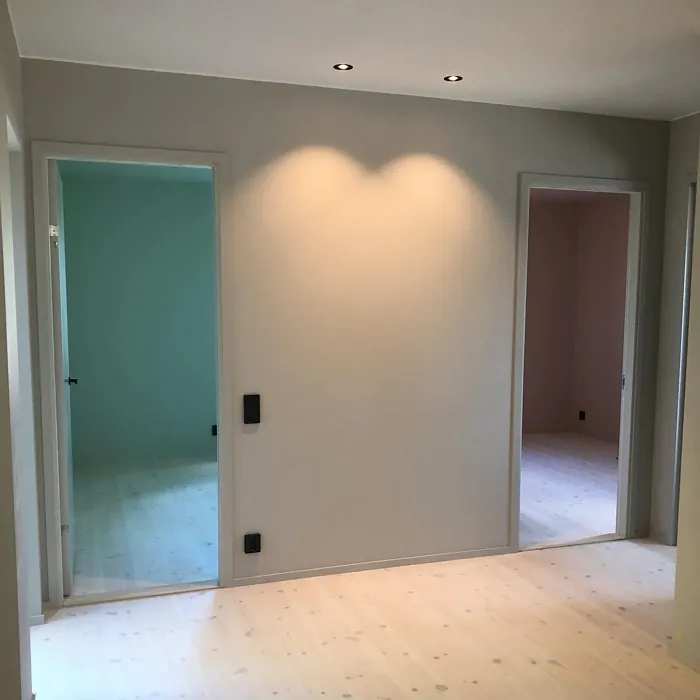 NCS S 1502-Y50R hallway paint