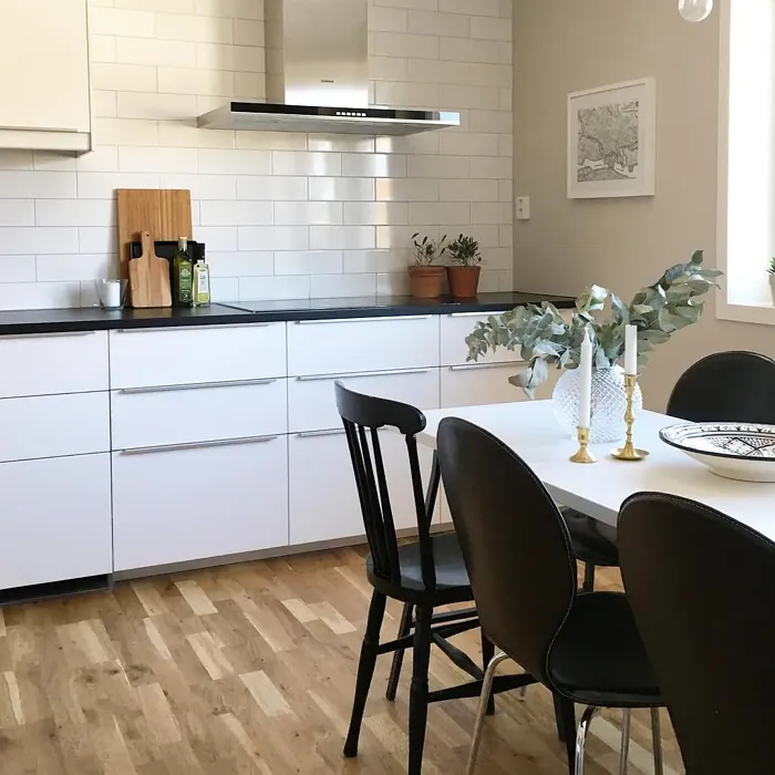 NCS S 1502-Y50R kitchen color