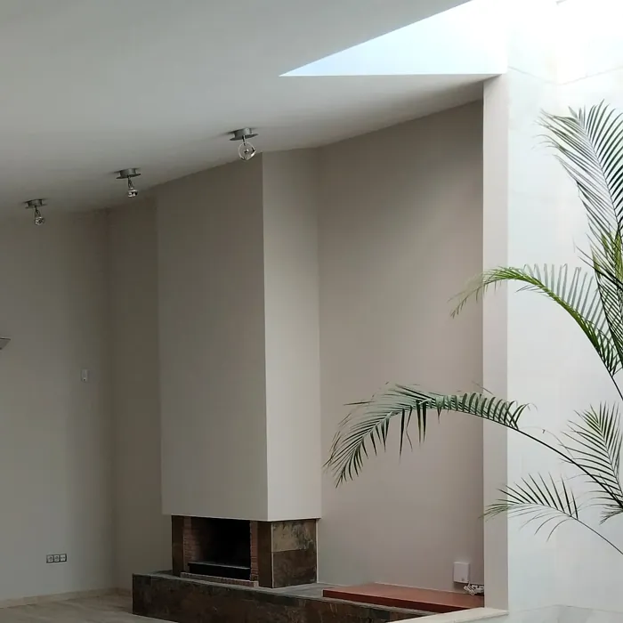 NCS S 1502-Y50R living room review