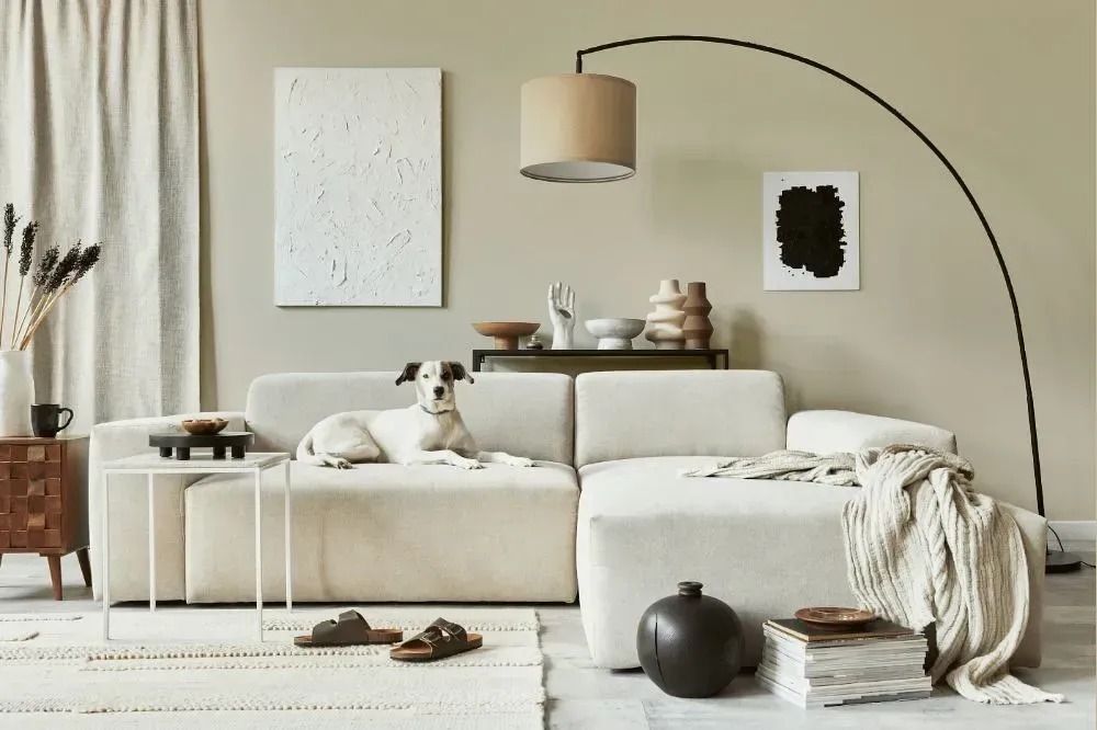 NCS S 1505-Y cozy living room