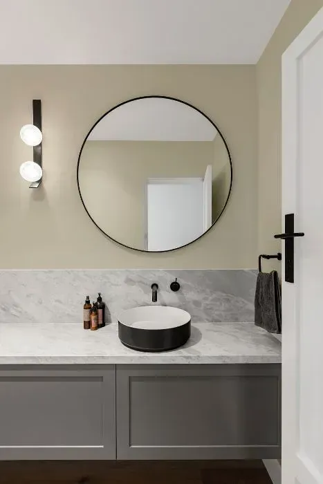 NCS S 1505-Y minimalist bathroom
