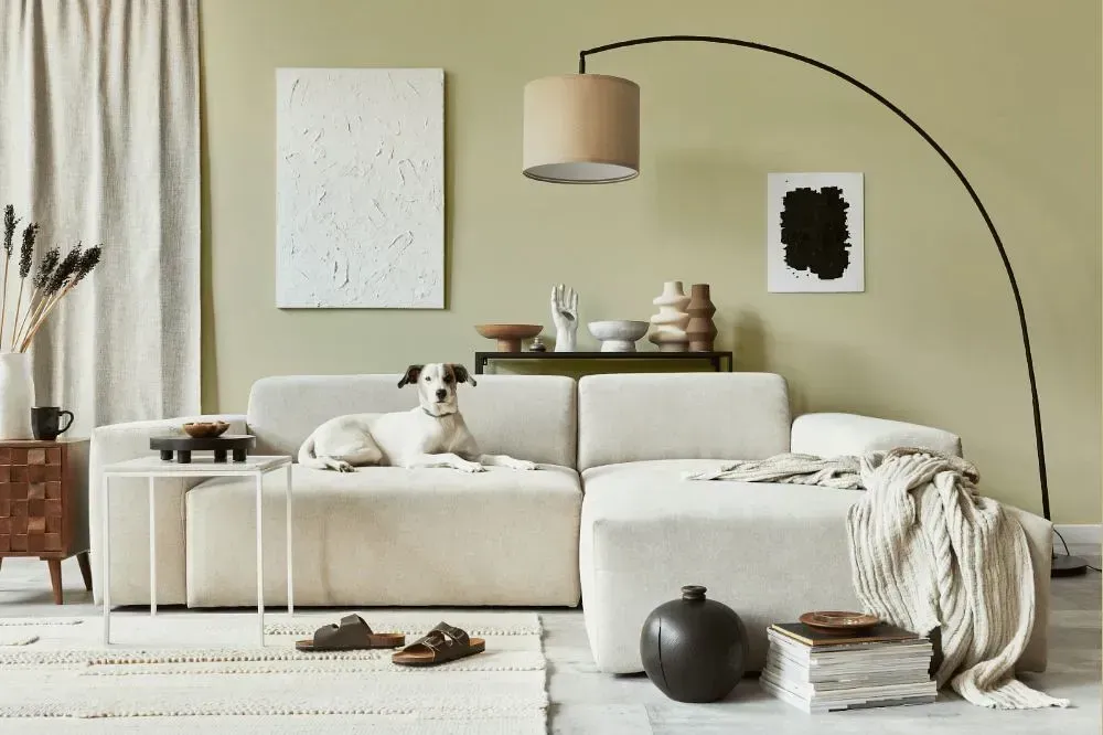 NCS S 1510-G90Y cozy living room