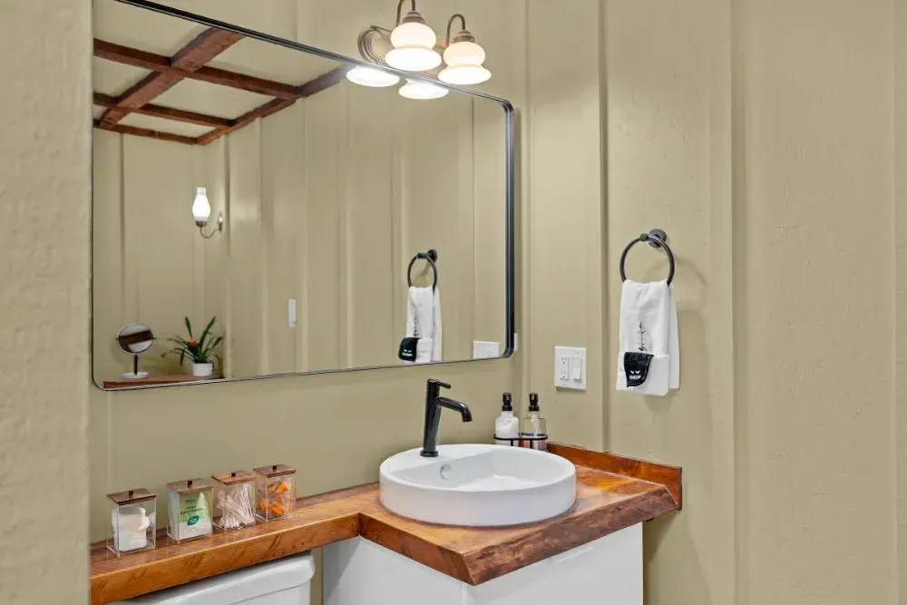 NCS S 1510-Y small bathroom