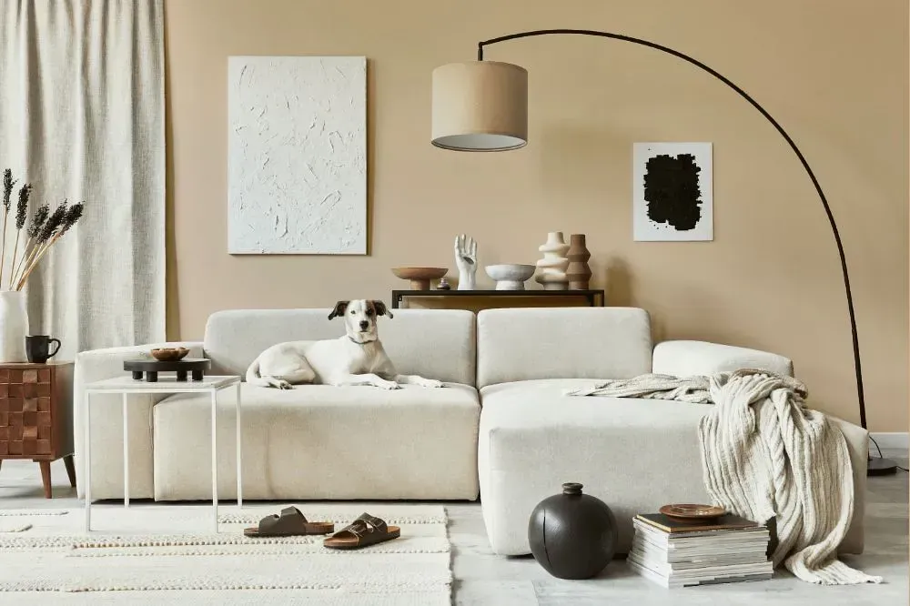 NCS S 1510-Y30R cozy living room