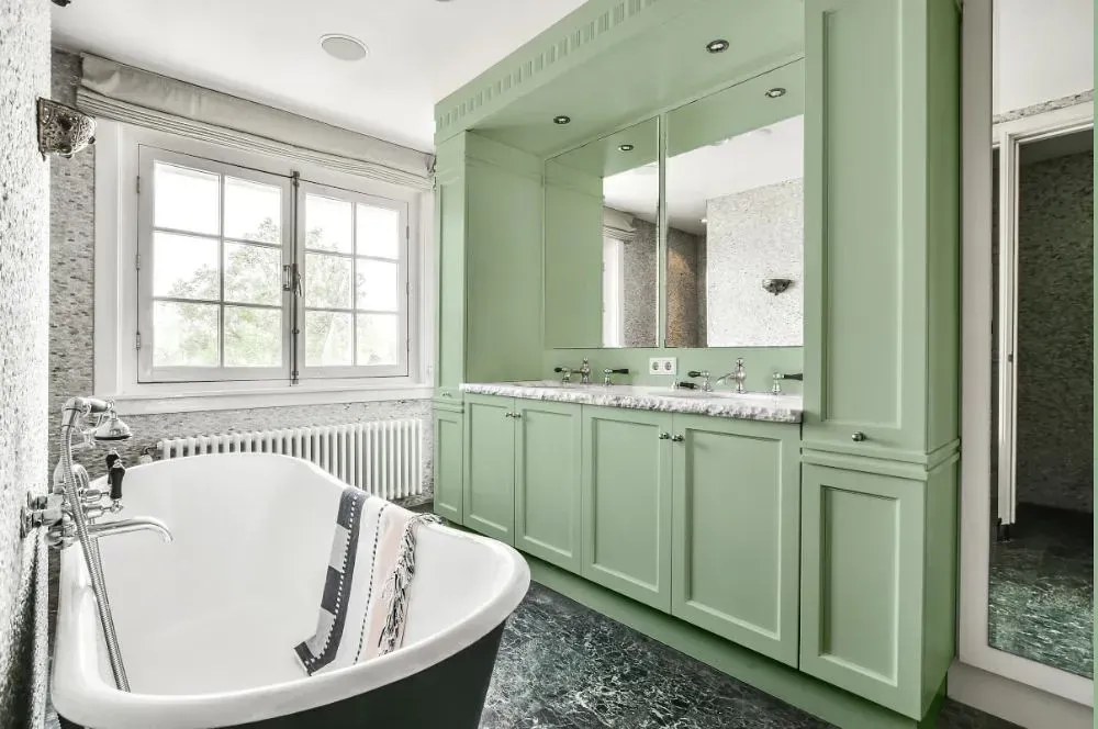 NCS S 1515-G20Y victorian bathroom paint