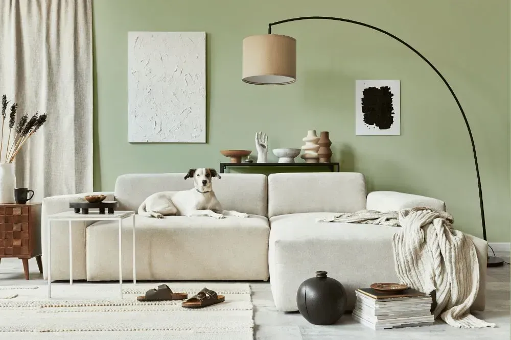 NCS S 1515-G40Y cozy living room