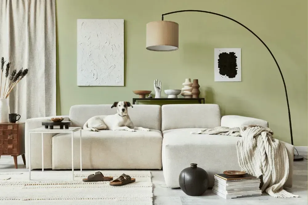 NCS S 1515-G60Y cozy living room