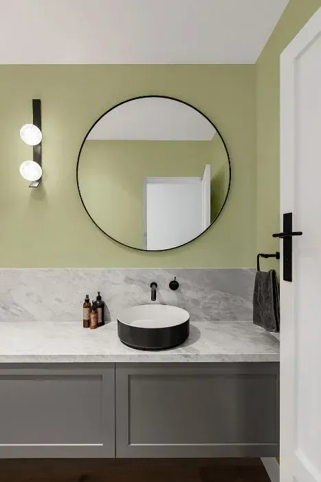 NCS S 1515-G60Y minimalist bathroom