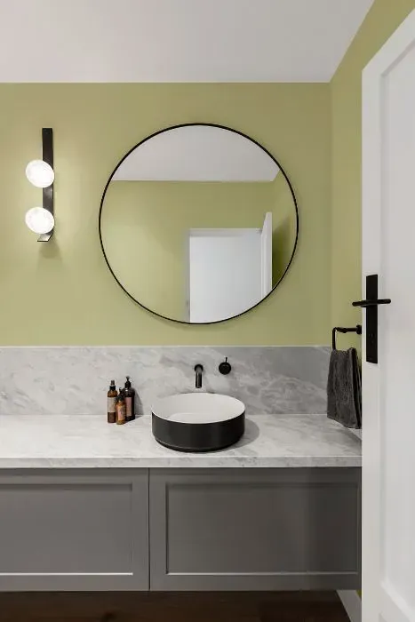 NCS S 1515-G80Y minimalist bathroom