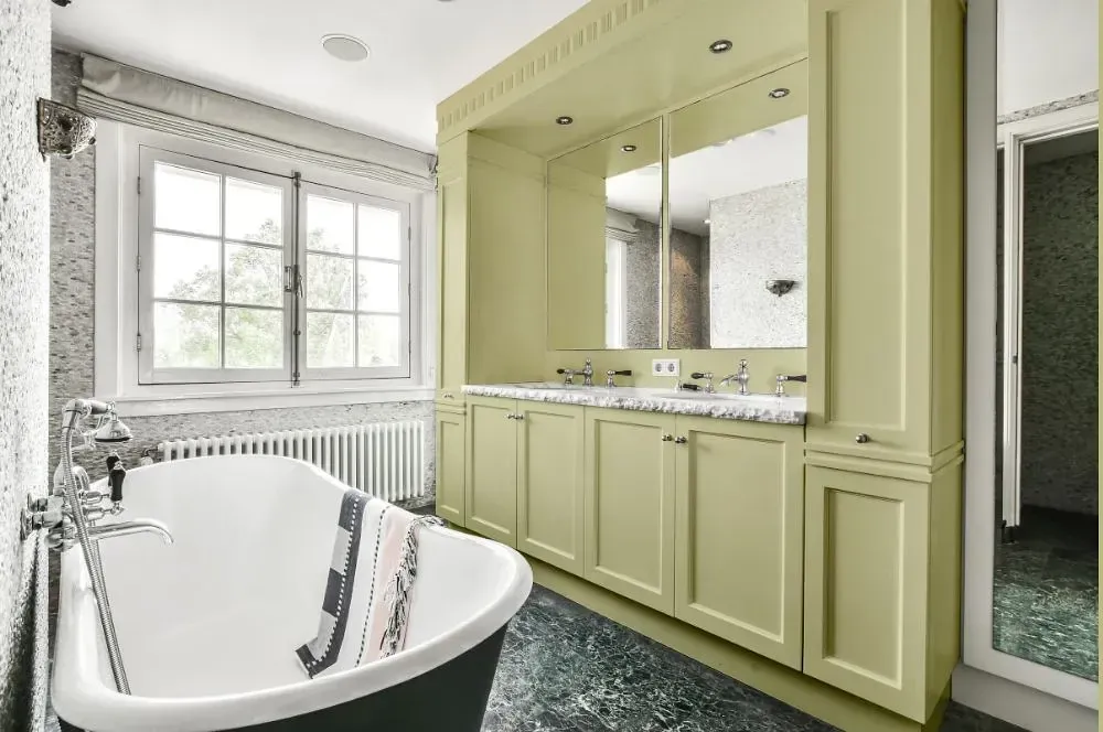 NCS S 1515-G80Y victorian bathroom paint