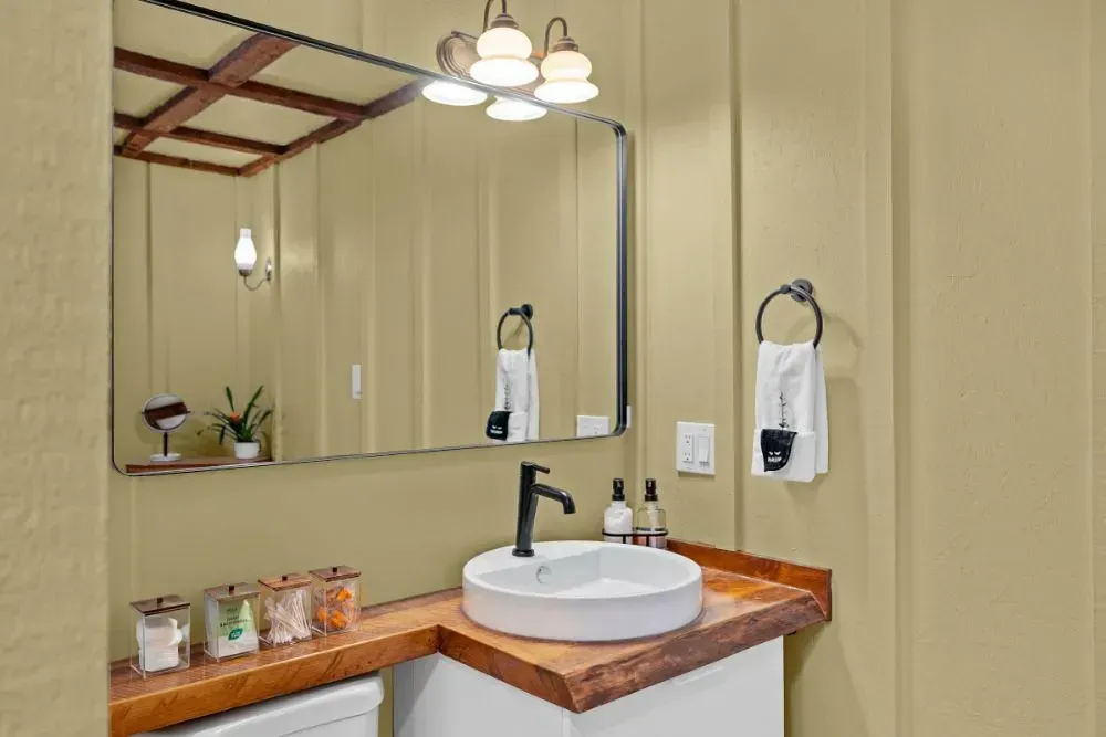 NCS S 1515-Y small bathroom