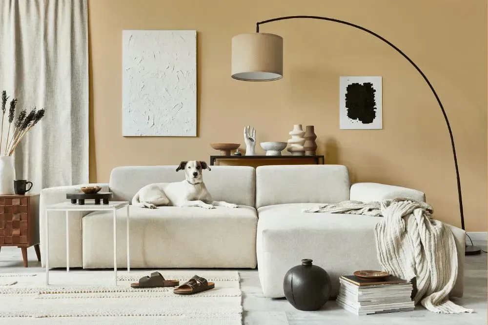 NCS S 1515-Y30R cozy living room