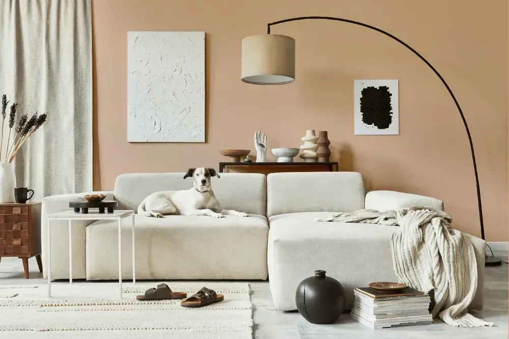 NCS S 1515-Y50R cozy living room