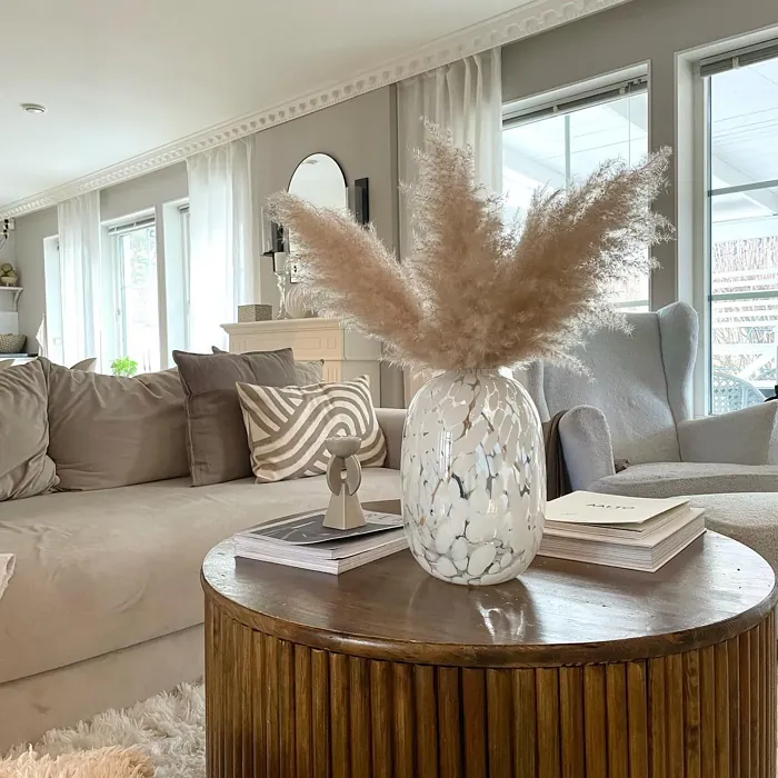 NCS S 2002-Y50R living room photo