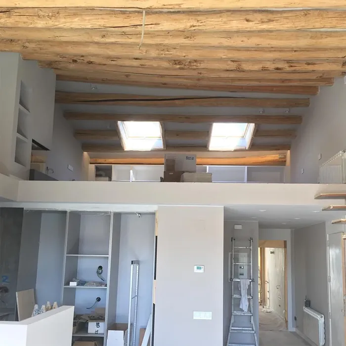 NCS S 2002-Y50R wall paint 