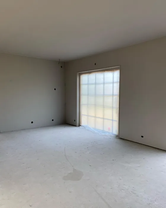 S 2002-Y50R wall paint 