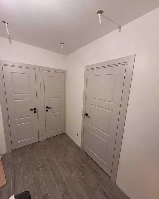 S 2002-Y50R door color review