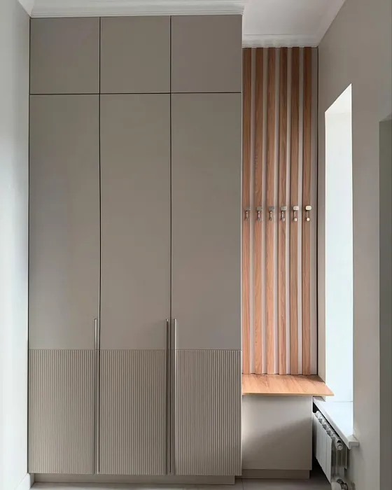 S 2002-Y50R painted furniture color