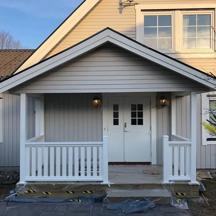 S 2002-Y50R exterior color