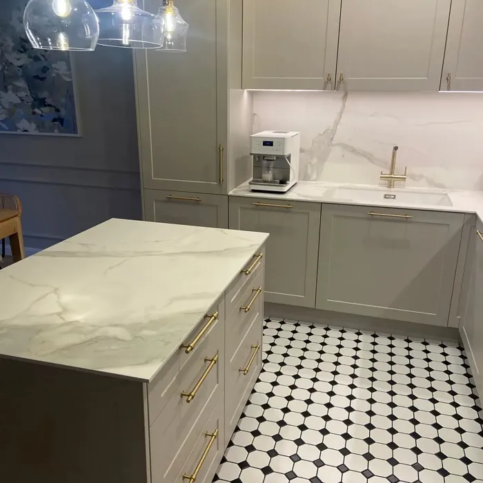 NCS S 2002-Y50R kitchen cabinets color review