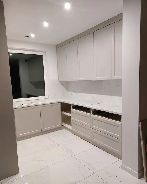 S 2002-Y50R kitchen cabinets paint