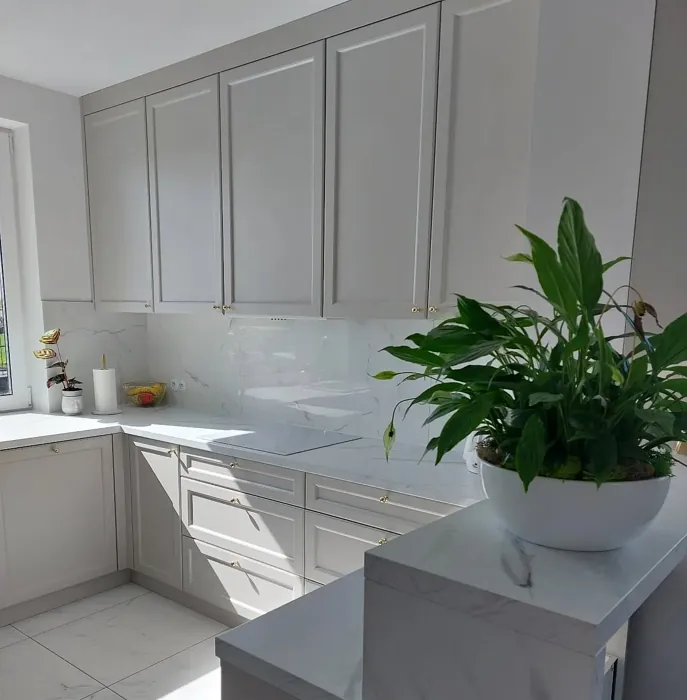 S 2002-Y50R kitchen cabinets review