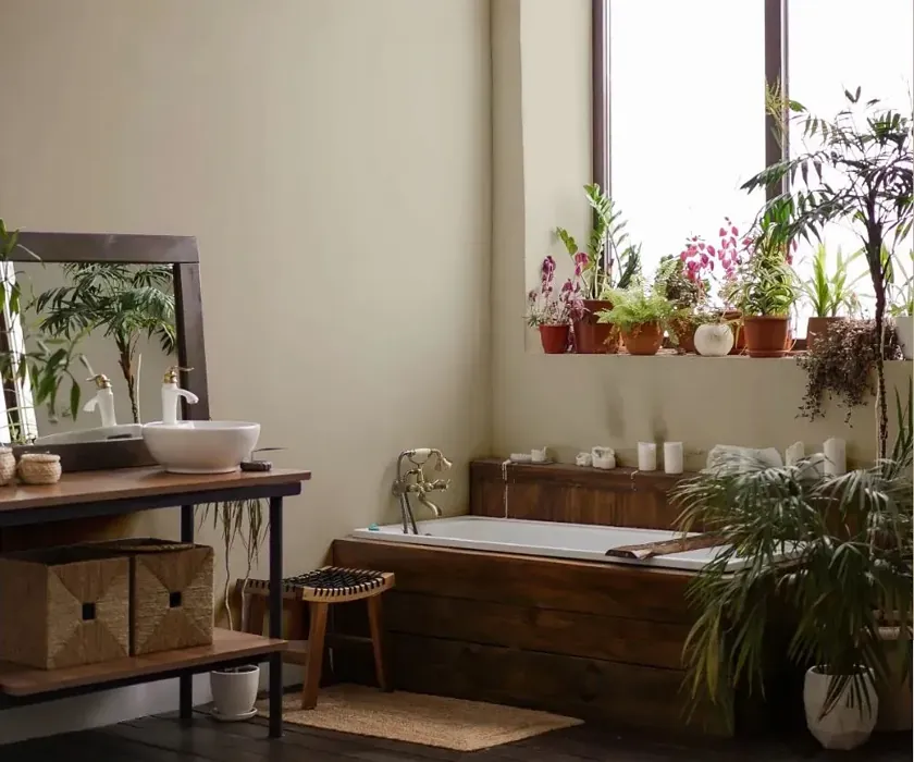 NCS S 2005-Y boho bathroom